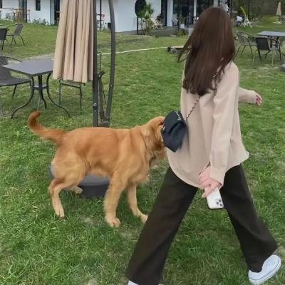 可怜天下男人心